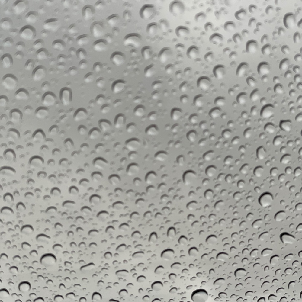 Meet your Posher, Lawren